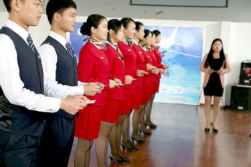 民航服務(wù)禮儀與會展服務(wù) 專業(yè)規(guī)范與優(yōu)雅形象的融合