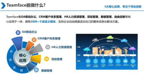 大型集團(tuán)企業(yè)是否需要購(gòu)買企業(yè)信息化系統(tǒng)源代碼進(jìn)行多次開發(fā)