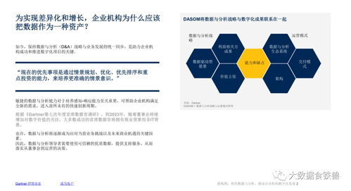 數(shù)據(jù)驅(qū)動(dòng)未來(lái) 杭州軟件開發(fā)企業(yè)數(shù)字化發(fā)展路線圖